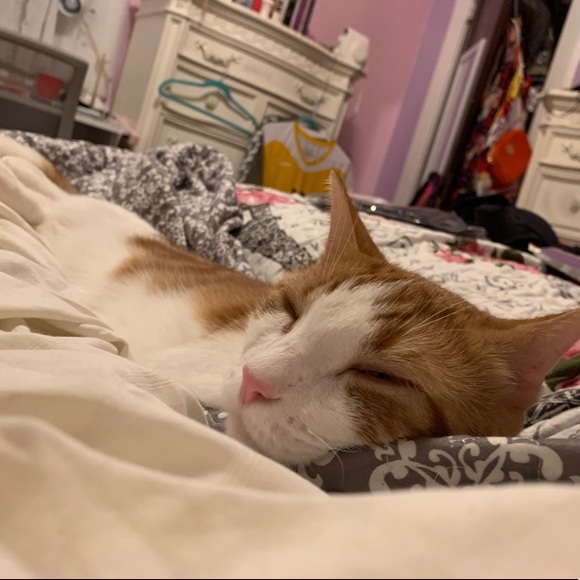 Meet Your Posher, Danny - Picture 6 of 9